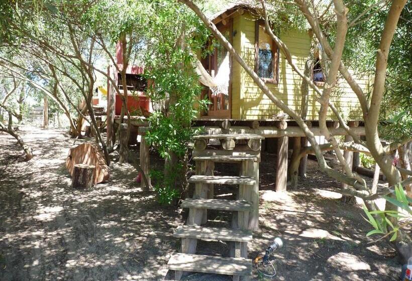 Hotel Las Casquivanas