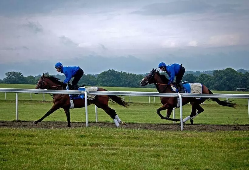 ホテル The Jockey Club Rooms
