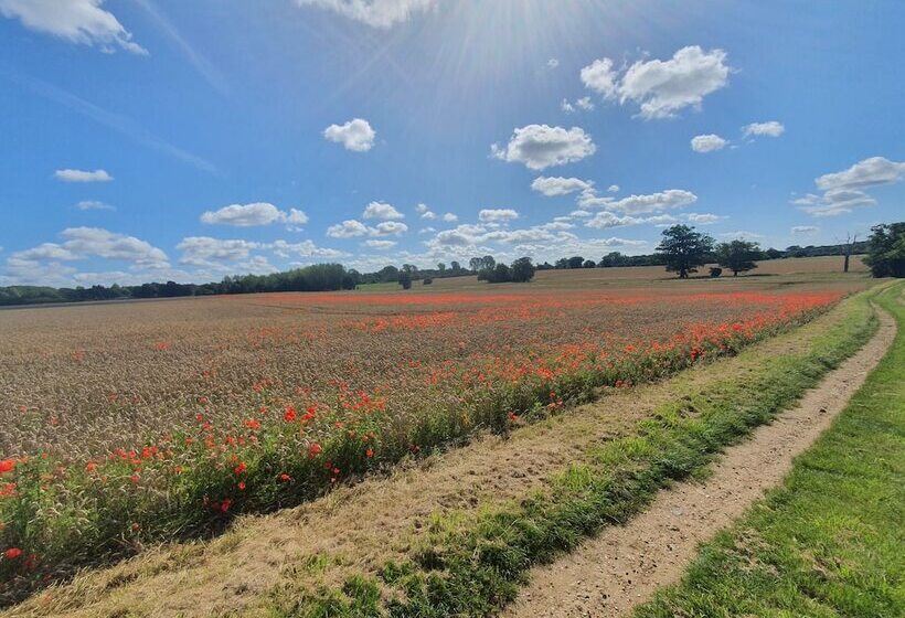 פנסיון Belle Vue Guest House