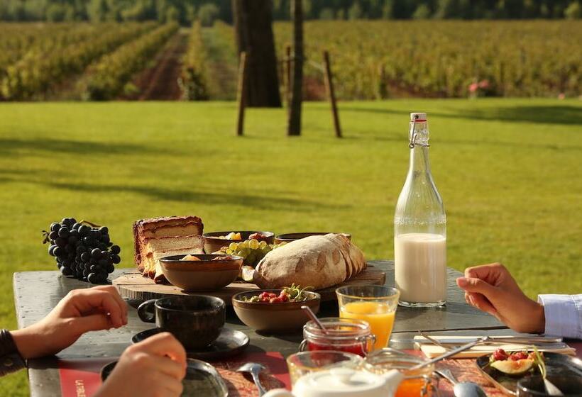 Pensionat Chateau Saint Roux Le Lucle Cannet Des Maures