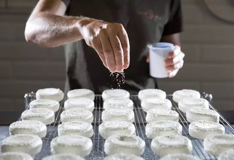 ペンション Chateau Saint Roux Le Lucle Cannet Des Maures