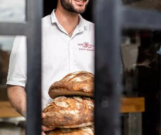 ペンション Chateau Saint Roux Le Lucle Cannet Des Maures