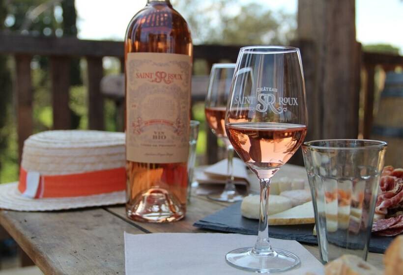 Pensionat Chateau Saint Roux Le Lucle Cannet Des Maures