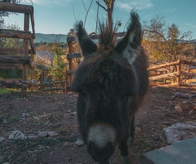 Pensionat Chateau Saint Roux Le Lucle Cannet Des Maures