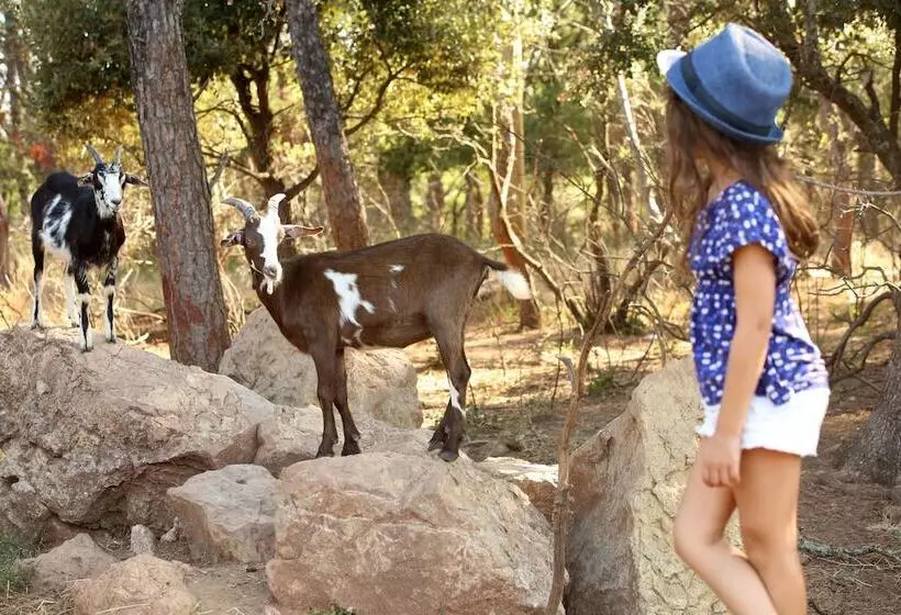 ペンション Chateau Saint Roux Le Lucle Cannet Des Maures