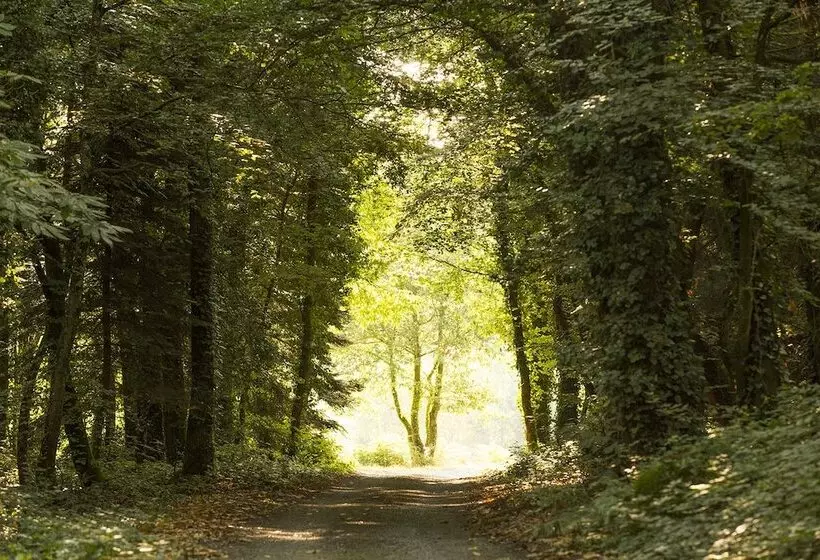 ペンション Château Du Grand Val