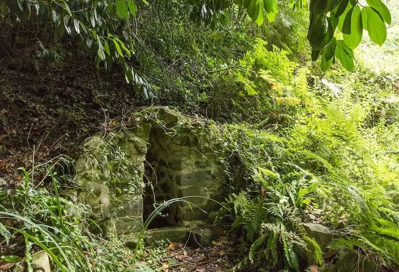 ペンション Château Du Grand Val