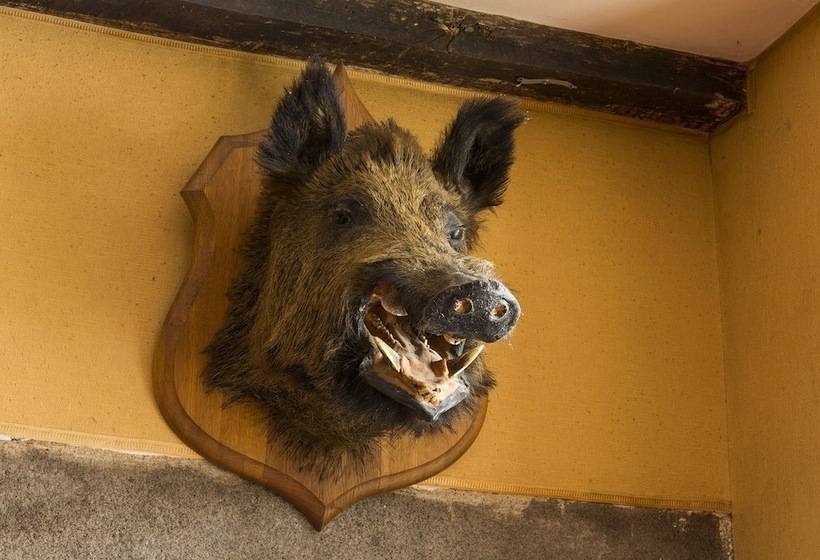 بنسيون Château Du Grand Val