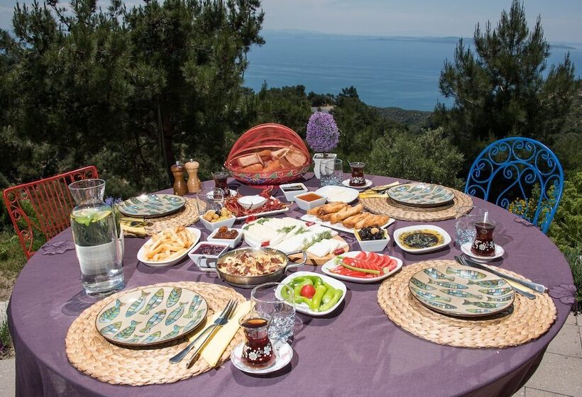 Bed and Breakfast Farmidaya Biotel