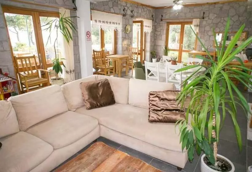 تختخواب و صبحانه Farmidaya Biotel