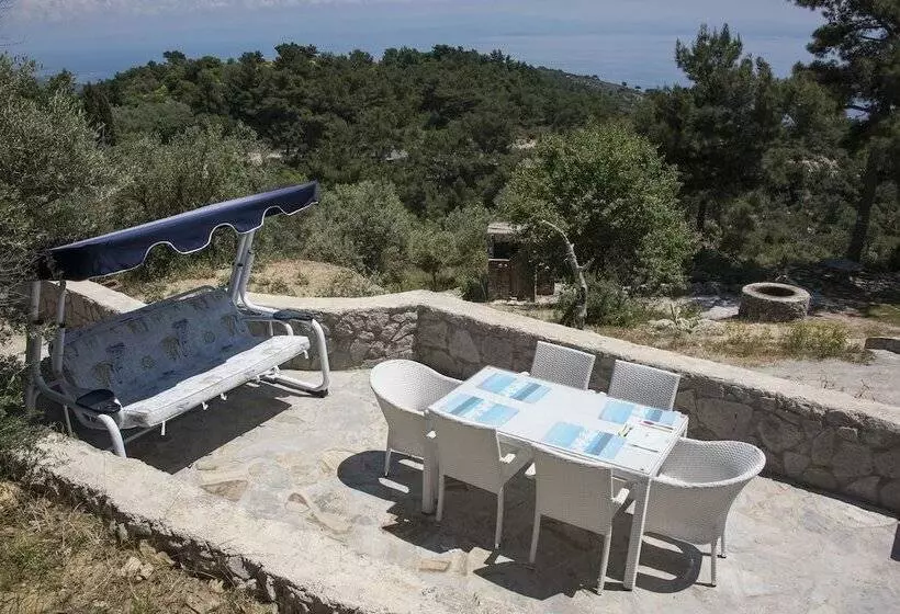 تختخواب و صبحانه Farmidaya Biotel