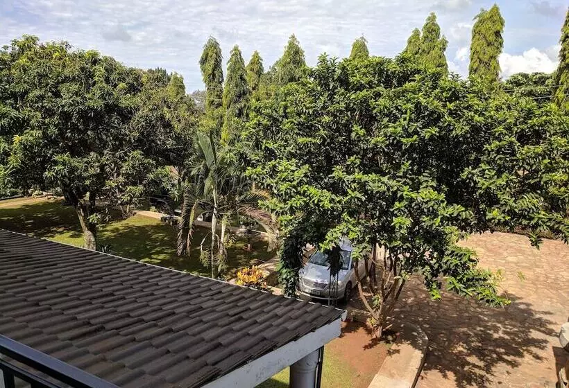تختخواب و صبحانه Gallery Entebbe
