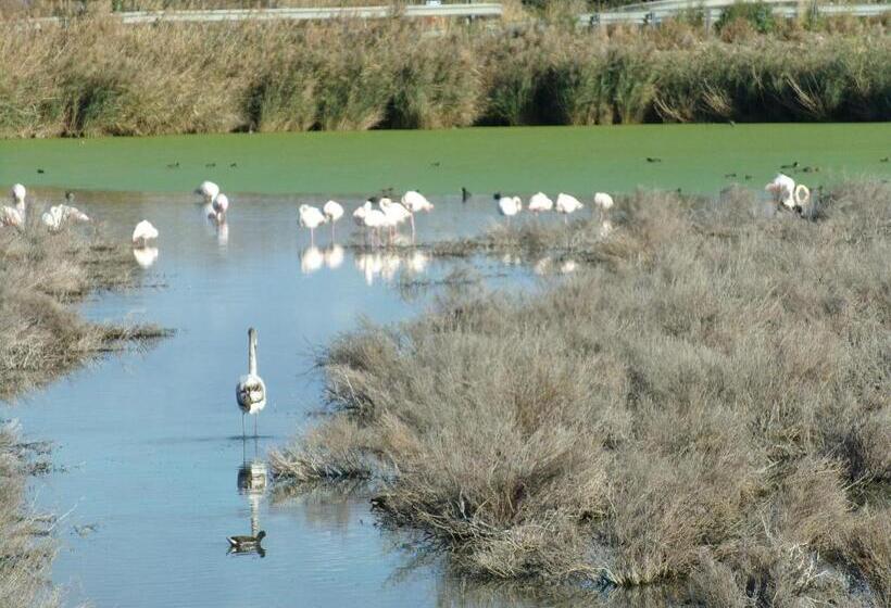 צימר Ibaia Le Bonheur