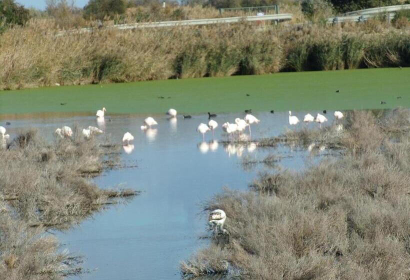 צימר Ibaia Le Bonheur