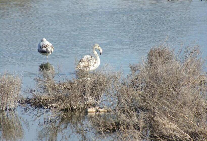 צימר Ibaia Le Bonheur