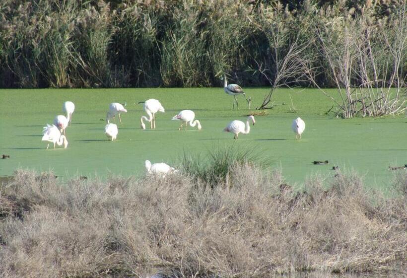 צימר Ibaia Le Bonheur