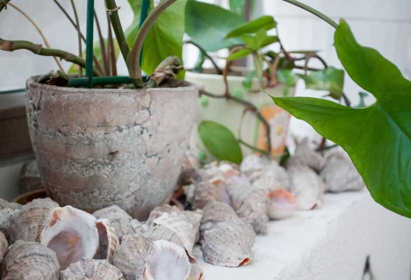 Hostel Uyutniy Dvorik