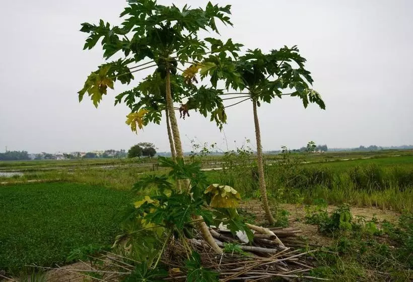 هتل Ht Village Villa