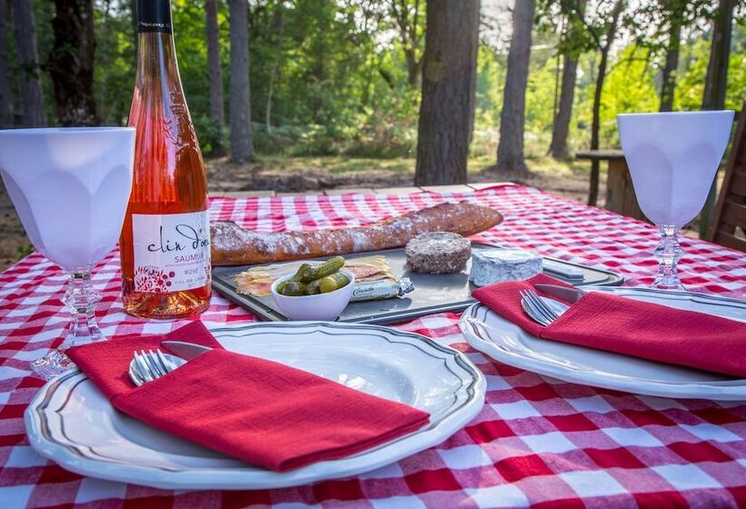 ホテル Les Bulles De Sologne   Hébergements Insolites