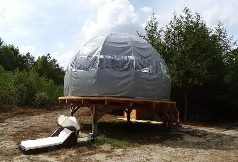ホテル Les Bulles De Sologne   Hébergements Insolites