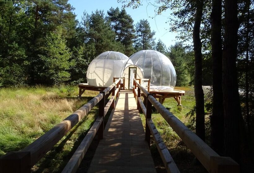 ホテル Les Bulles De Sologne   Hébergements Insolites