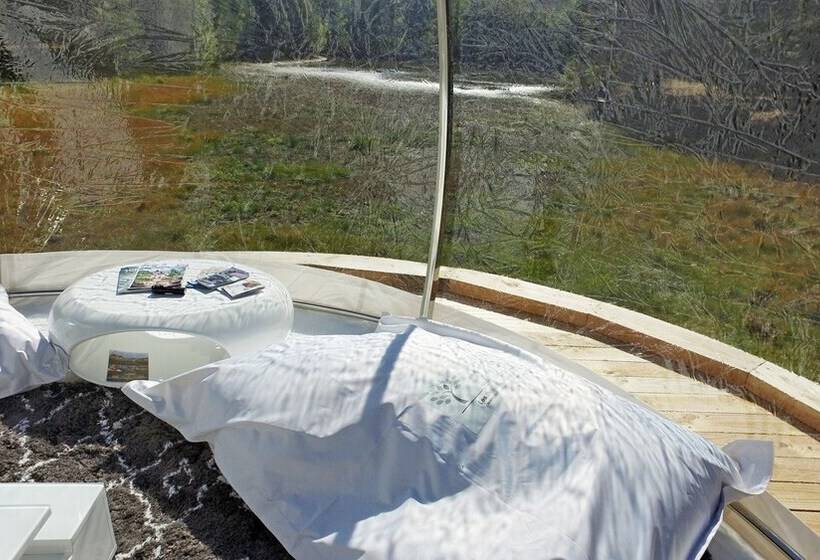 ホテル Les Bulles De Sologne   Hébergements Insolites