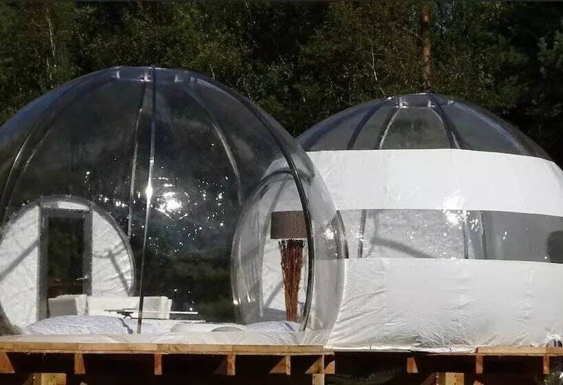 ホテル Les Bulles De Sologne   Hébergements Insolites