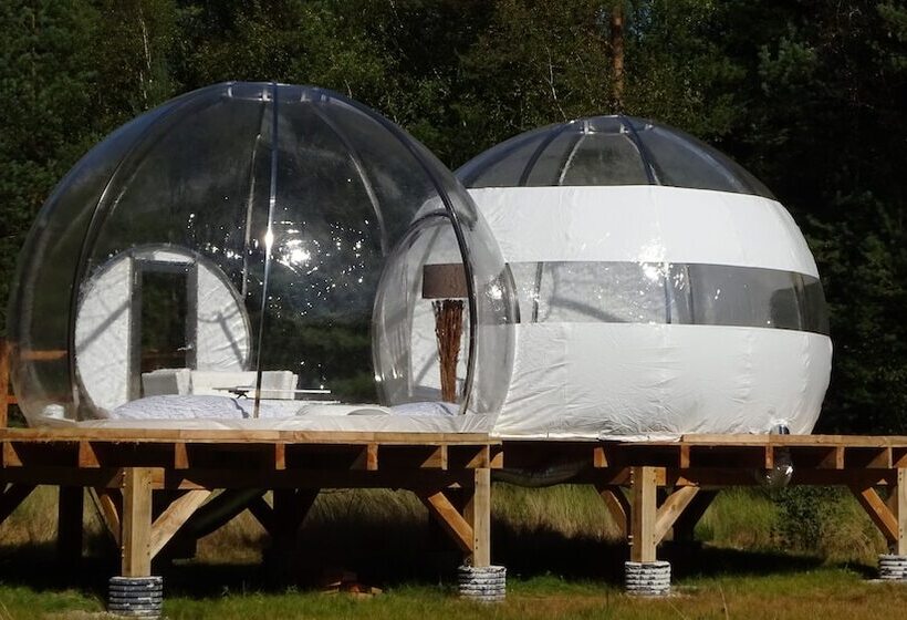 ホテル Les Bulles De Sologne   Hébergements Insolites