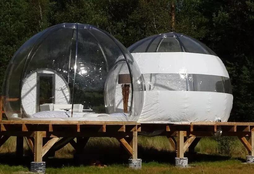 ホテル Les Bulles De Sologne   Hébergements Insolites