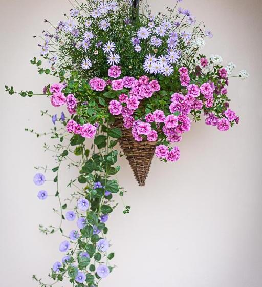 צימר Stoodleigh Court Coach House