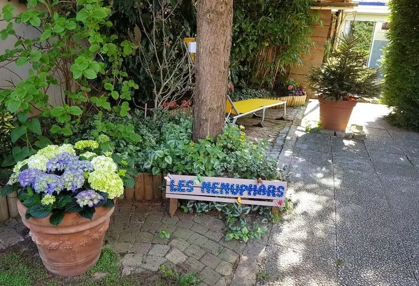Les Nénuphars