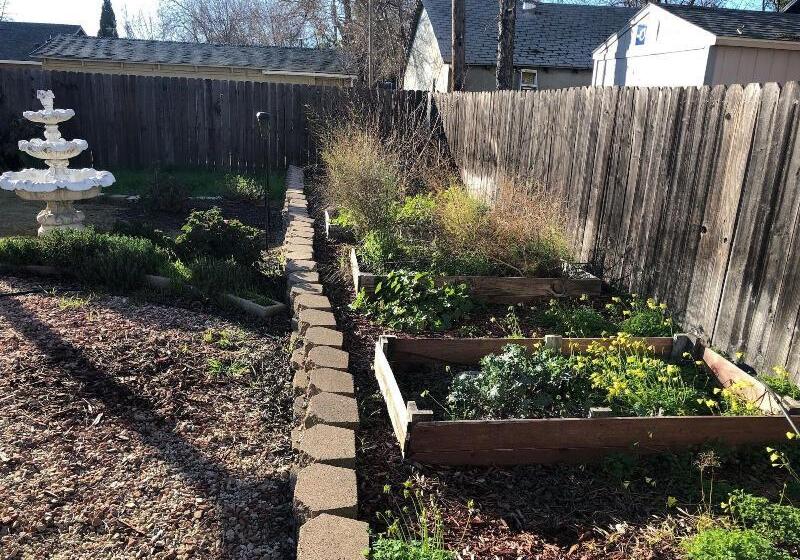 فندق صغير Whole Family Wholeville