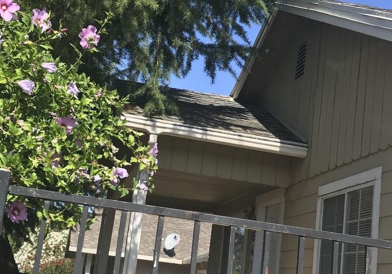 فندق صغير Whole Family Wholeville