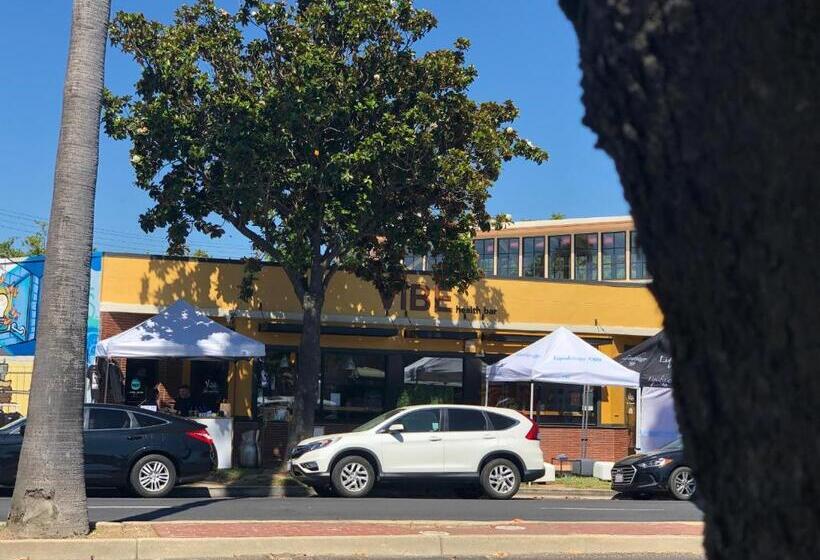 فندق صغير Whole Family Wholeville