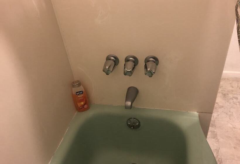 فندق صغير Whole Family Wholeville