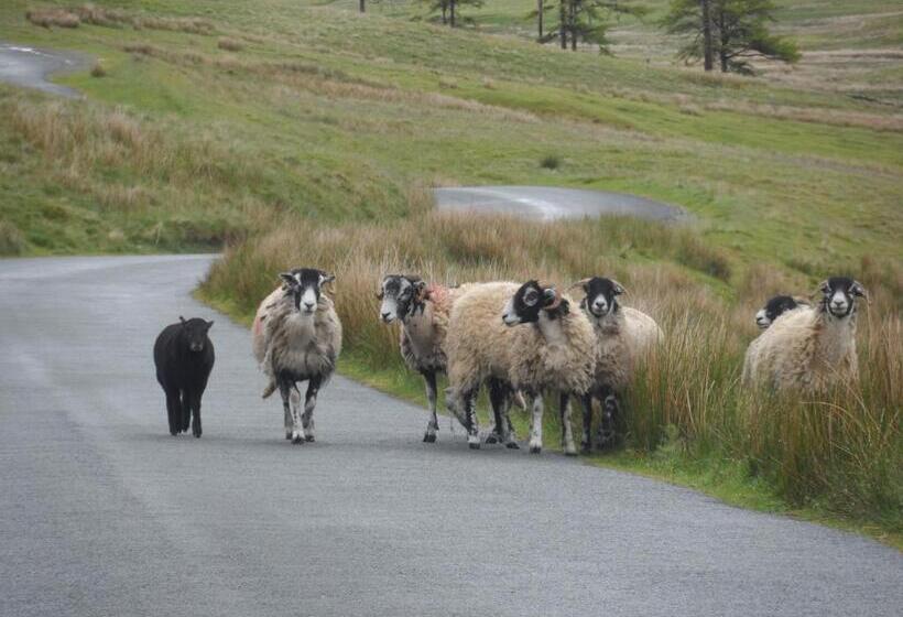 تختخواب و صبحانه 3 Cambridge Villas