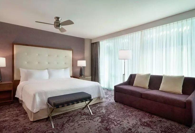 Homewood Suites By Hilton Chicago Downtown South Loop