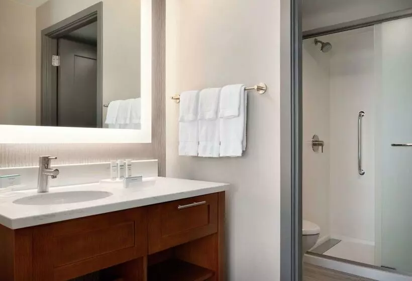 Homewood Suites By Hilton Chicago Downtown South Loop