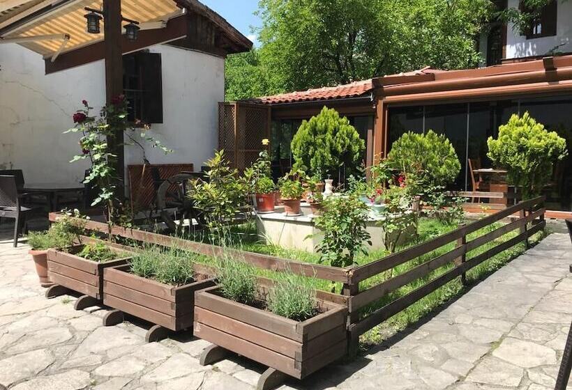 ホテル Ebrulu Konak   Special Class