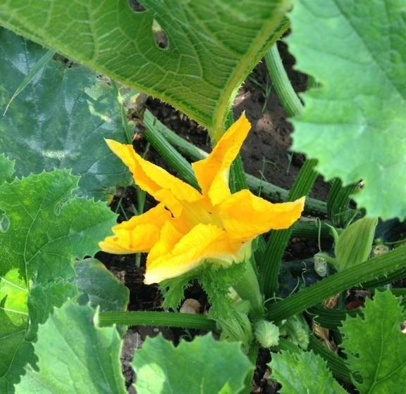 Assos Nazan Motel Restoran Beach