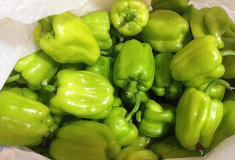 Assos Nazan Motel Restoran Beach