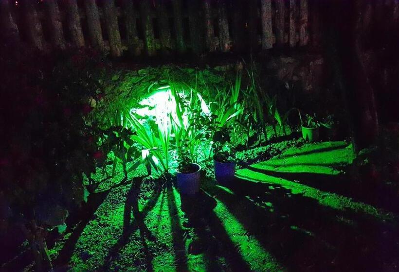 Assos Nazan Motel Restoran Beach