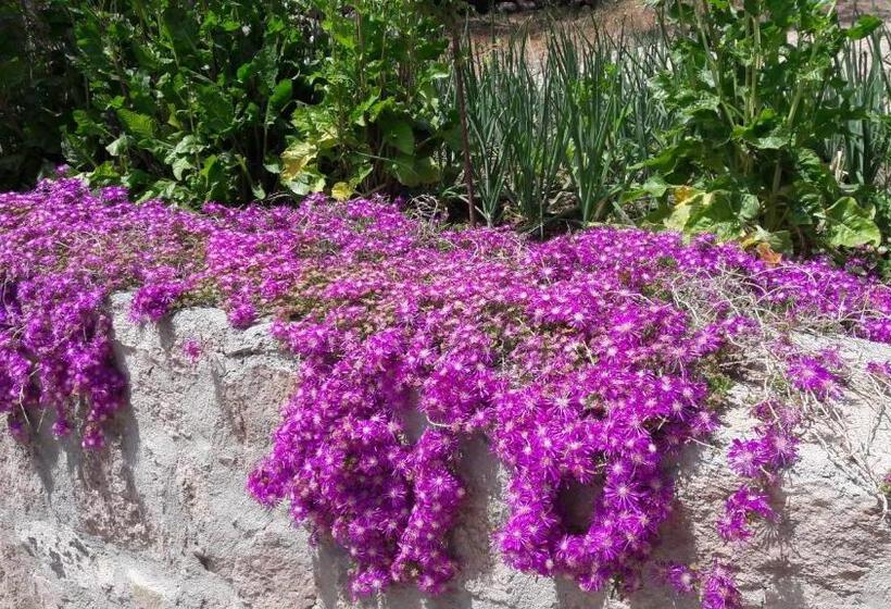 Assos Nazan Motel Restoran Beach