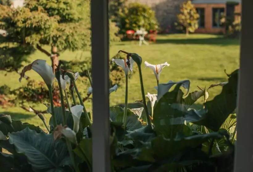 Aamiaismajoitus (B&B) Les Gites De Kerégal   La Cabane De Charlotte