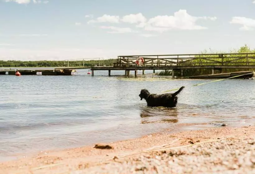 First Camp Duse Udde   Säffle