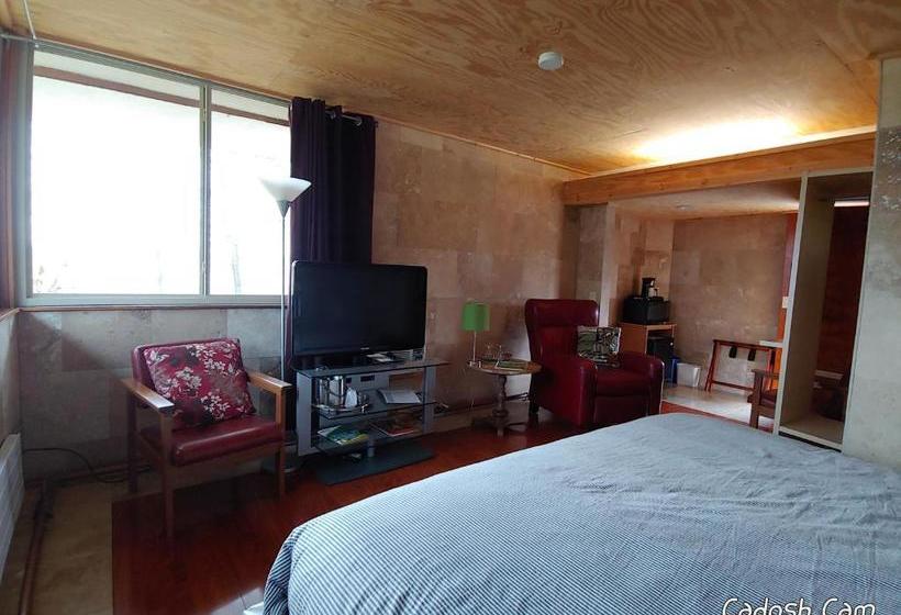 모텔 The Usonian Inn Llc