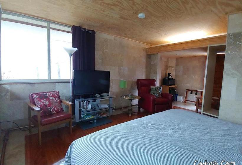 모텔 The Usonian Inn Llc