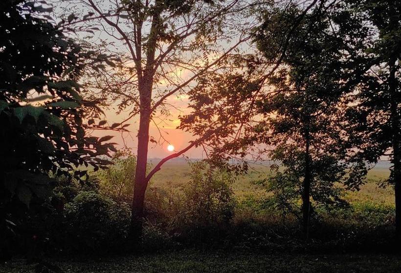 모텔 The Usonian Inn Llc