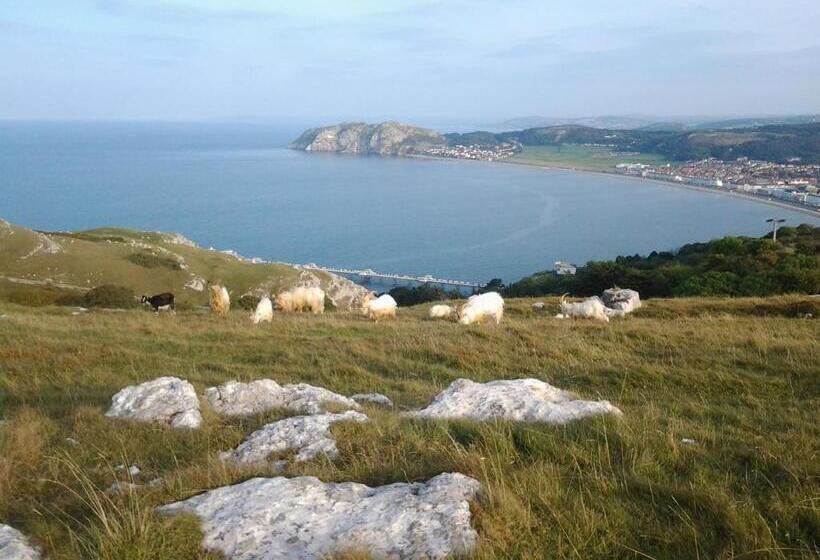 پانسیون Clifton Villa Guest House