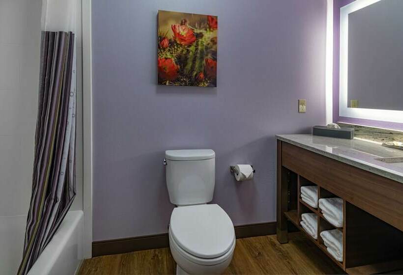 Hotel La Quinta Inn & Suites By Wyndham Flagstaff East I40